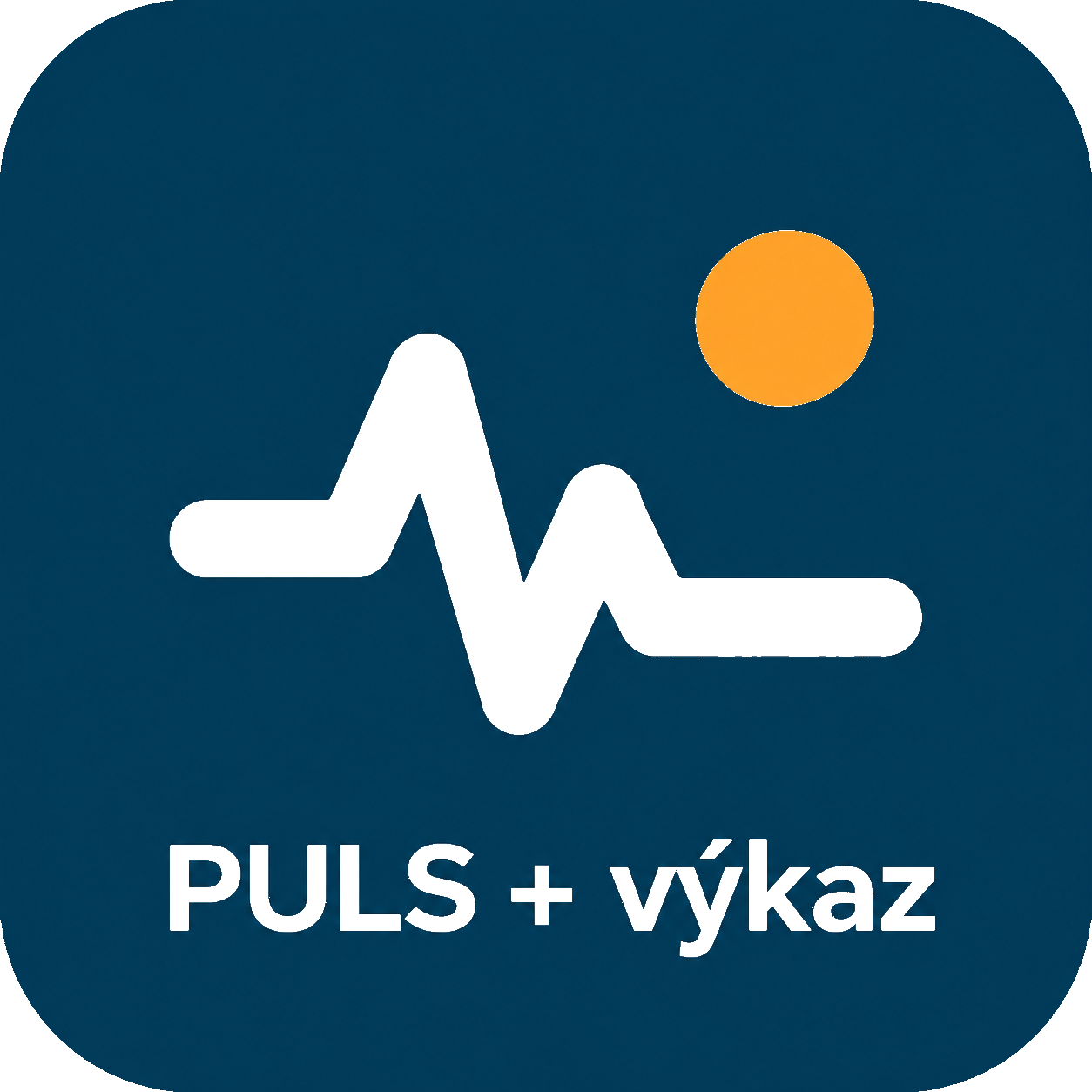 PULS + výkazy